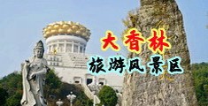 大鸡巴草逼动态图中国浙江-绍兴大香林旅游风景区